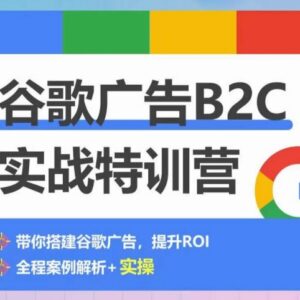 谷歌广告B2C实战教程 500+账户经验教你0-1搭建优化投放账户-雨叶虚拟资源网