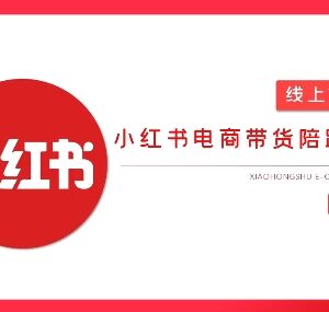 2025小红书虚拟电商实战课 从0搭建无货源店铺AI变现教程-雨叶虚拟资源网