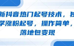 抖音0粉快速起号实操教学 低风险涨粉变现方法指南-雨叶虚拟资源网