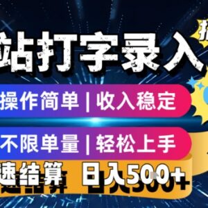 正规零成本打字录入副业全解析 操作简单不限单量收益稳定-雨叶虚拟资源网