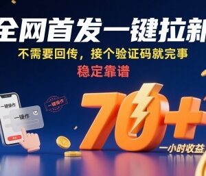 全网首发无回传一键拉新项目 仅需验证码单小时稳定收益70+-雨叶虚拟资源网