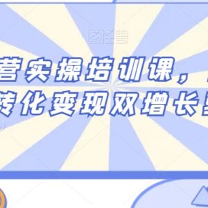 私域运营实操培训课 引流获客到转化变现全流程落地教程-雨叶虚拟资源网