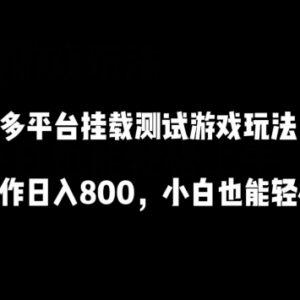 多平台挂载测试游戏玩法副业 小白低门槛操作易上手获收益-雨叶虚拟资源网
