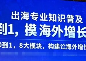 出海运营入门系统课程 8大模块从零搭建海外业务增长引擎-雨叶虚拟资源网