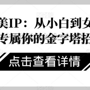 女性个人IP打造系统教程 从小白到搭建专属高价值个人品牌-雨叶虚拟资源网