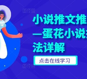 蛋花小说拉新玩法详细拆解 小说推文推广实用干货指南-雨叶虚拟资源网