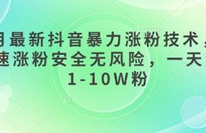 2025年3月最新抖音安全涨粉技术 无需买粉单日可涨1-10W粉-雨叶虚拟资源网