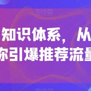 引力魔方系统知识体系梳理 从底层逻辑拆解推荐流量引爆方法-雨叶虚拟资源网