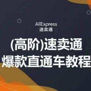 速卖通高阶直通车实操运营教程 教你正确投放拒绝无效烧钱-雨叶虚拟资源网