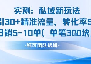 私域引流新玩法实测：微博超话日引30+精准流量 转化率50%日均出单5-10单-雨叶虚拟资源网
