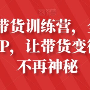 素人IP带货训练营全攻略 从0到1掌握全平台带货运营技巧-雨叶虚拟资源网