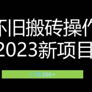 2023小红书虚拟商品售卖玩法 怀旧赛道月入过万实操攻略-雨叶虚拟资源网