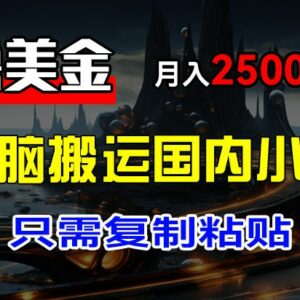 搬运国内小说爽文赚美金项目 新手可上手月入2500+美金实操方法-雨叶虚拟资源网