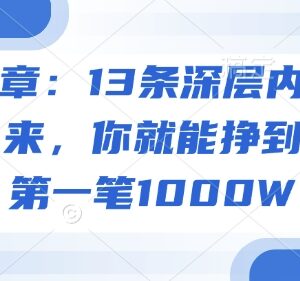 13条商业深层内幕汇总 普通人赚第一笔千万的实用参考指南-雨叶虚拟资源网