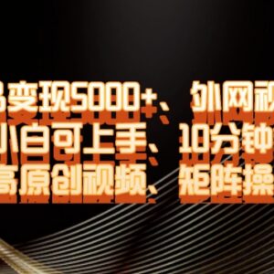 单条作品变现超5000 外网搬运二创小白10分钟做高原创爆款视频教程-雨叶虚拟资源网
