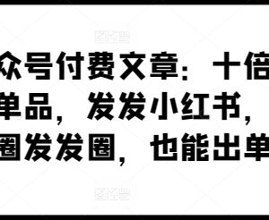 高差异化暴利单品卖货方法 小红书朋友圈发内容即可出单-雨叶虚拟资源网