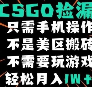 无需会玩CSGO的自动捡漏盈利项目 新手零门槛可操作赚差价-雨叶虚拟资源网