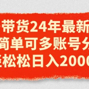 2024年视频号带货最新运营模式 低门槛可多账号分发实操教程-雨叶虚拟资源网