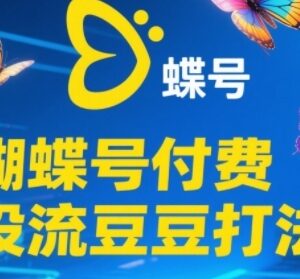 2025蝴蝶号豆豆付费投流打法 新手撬动自然流实操教程-雨叶虚拟资源网