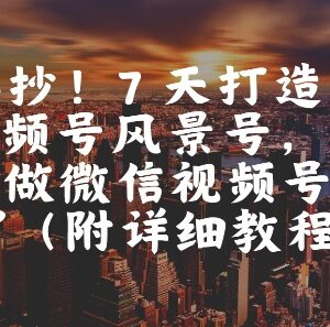 微信视频号风景号实操教程 7天打造10W+爆款账号运营方法-雨叶虚拟资源网