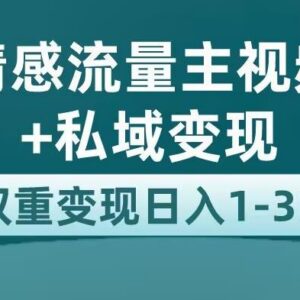 AI情感流量主视频号+私域变现玩法拆解 附完整实操教程-雨叶虚拟资源网