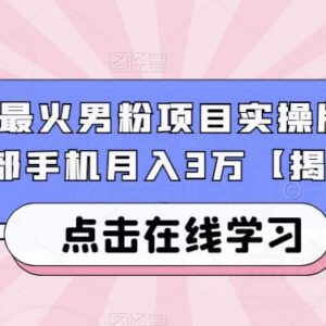 热门男粉变现项目全流程实操 单人用手机月入3万方法拆解-雨叶虚拟资源网