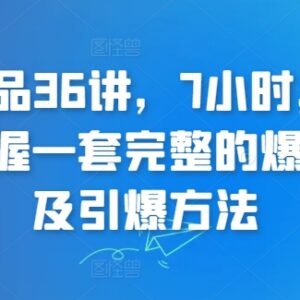 超级爆品打造36讲系统课程 掌握完整爆品打造及引爆落地方法-雨叶虚拟资源网