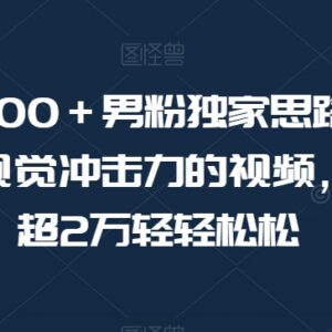 男粉引流实操全教程:剪辑美女类视频日引500粉单月盈利超2万-雨叶虚拟资源网