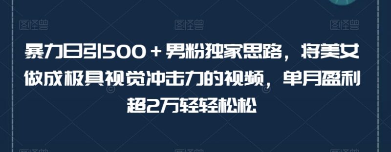 男粉引流实操全教程:剪辑美女类视频日引500粉单月盈利超2万