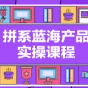 拼系冷门蓝海产品实操课程，从注册店铺到选品上架到流量维护环环相扣-雨叶虚拟资源网