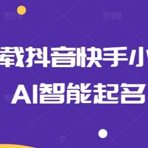 0粉可挂载抖音快手AI智能起名小程序 运营实操全流程教程-雨叶虚拟资源网