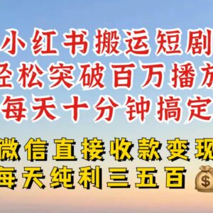 小红书热门短剧搬运玩法 低门槛引流变现单日可获数百收益-雨叶虚拟资源网