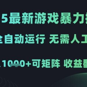 2025全自动游戏试玩掘金项目 无需人工可矩阵运营稳获收益-雨叶虚拟资源网