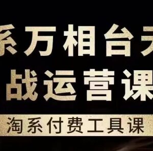 淘系万相台无界实战运营教程 付费推广全场景玩法详解-雨叶虚拟资源网