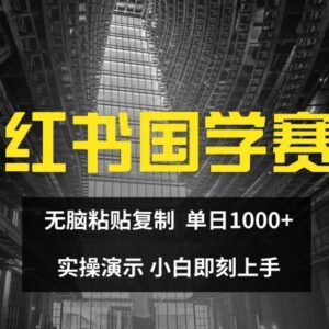 2024小红书国学赛道赚钱实操 无需转化复制粘贴小白单日可赚千元-雨叶虚拟资源网