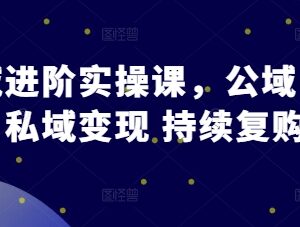 私域运营进阶实操课 公域引流到私域变现复购全流程教学-雨叶虚拟资源网