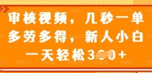 正规视频审核副业项目详解 按单结算时间灵活新手可轻松上手-雨叶虚拟资源网