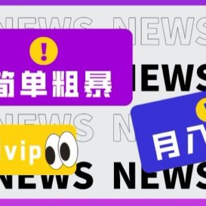 零成本全网视频VIP掘金项目详解 新手易操作月入最高可达2万-雨叶虚拟资源网