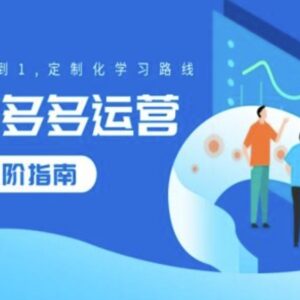 拼多多运营从0到1进阶指南 定制化全阶段学习路线汇总-雨叶虚拟资源网