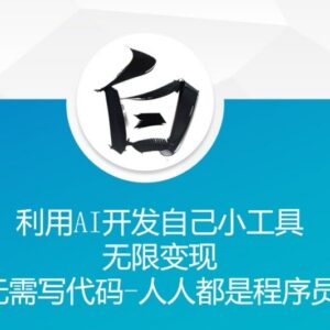 无需代码借助AI开发专属小工具 可实现长期变现方法教程-雨叶虚拟资源网