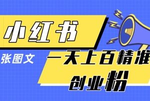 小红书低风险单图引流模板 轻松日引上百名精准创业粉-雨叶虚拟资源网