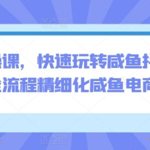 闲鱼抖音小红书全体系电商运营 从开店到爆单实操教程-雨叶虚拟资源网
