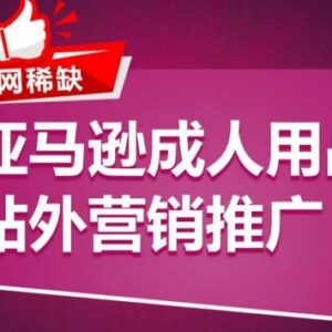 亚马逊成人用品站外推广攻略 新品打造类目爆款实操方案-雨叶虚拟资源网