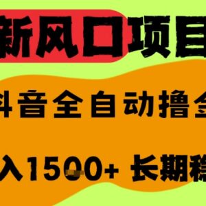 抖音无人直播撸音浪项目详解 全自动运行可矩阵放大操作指南-雨叶虚拟资源网