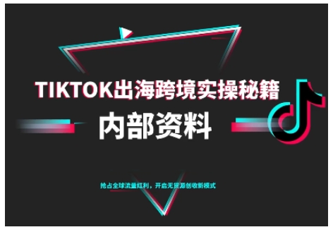 TikTok跨境电商0-1搭建运营教程 10月更新新手出海实操指南