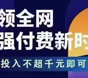 王校长拼多多无限活动流强付费玩法 千元内低投入即可实操起店-雨叶虚拟资源网