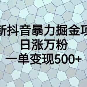 2024低成本抖音掘金项目实操教程 涨粉引流变现全流程拆解-雨叶虚拟资源网
