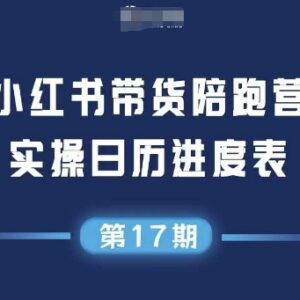 2025小红书无囤货无投流带货陪跑营 选品到矩阵运营全指南-雨叶虚拟资源网