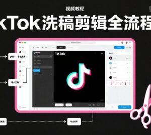 TikTok洗稿剪辑运营全流程课 PR剪辑及账号运营实操教程-雨叶虚拟资源网