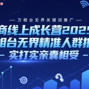 2025电商线上成长营 万相台无界关键词与精准人群推广实操课-雨叶虚拟资源网